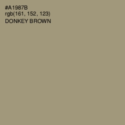 #A1987B - Donkey Brown Color Image